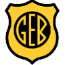 GE Bage logo
