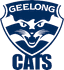 Geelong Sc logo
