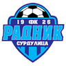 Radnik Surdulica logo