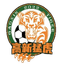 Chongqing Gaoxin Tiger logo
