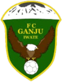 Ganju Iwate logo - Fc VS Ganju Iwate Live Score