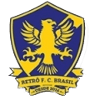 Retro FC Brasil logo - Bahia VS Retro Fc Brasil Live Score Today