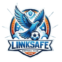 Ji'nan Linksafe logo - Linksafe VS Yangzhou Sanwan Ledao Sport