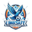 Ji'nan Linksafe logo