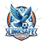 Ji'nan Linksafe logo