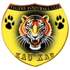 Mighty Tigers logo - Tigers VS Mafco Sport