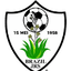 SV Brazil Juniors logo