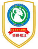 Tap Seac Party Prime Minister Village Football Team logo - Team VS Bailie Village Football Team Result Today
