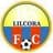 Real Succes logo