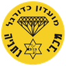 Maccabi Netanya U19 logo
