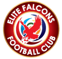 Elite Falcons FC logo - Club VS Elite Falcons Fc Score