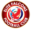 Elite Falcons FC logo
