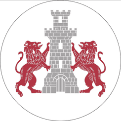Cetatea Turnu Magurele logo