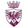 Borgosesia logo