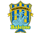 FC Baleine Shimonoseki logo