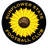 Sunflower State FC (W) logo