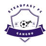 Steadfast FC logo - City VS Steadfast Fc Result Today