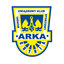 Arka Gdynia Youth logo