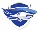 Chonburi FC logo - Forest VS Chonburi Fc Live Score
