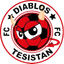 Diablos Tesistan FC logo