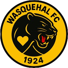 ES Wasquehal logo