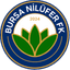 Bursa Nilüfer FK logo