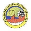 Pontassolense logo - Salgueiros VS Pontassolense Result