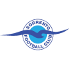 Sorrento Women logo - Women VS Balcatta Women Sport