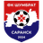 FC Shumbrat Saransk logo