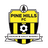 Pine Hills logo