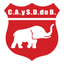 Defensores Belgrano (VR) logo