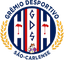 Gremio Saocarlense/SP logo