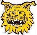 Ilves Tampere Women logo - Women VS Ilves Tampere Women Sport