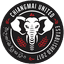 Chiangmai United FC logo