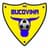 Bucovina Radauti logo