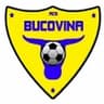 Bucovina Radauti logo