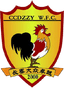 Changchun Dazhongzhuoyue Women logo