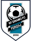 KF Dinamo Ferizaj U19 logo