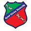 Humaita AC logo