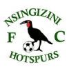 Nsingizini Hotspurs logo - Hotspurs VS Scottland Fc Score