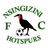 Nsingizini Hotspurs logo