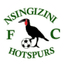 Nsingizini Hotspurs logo
