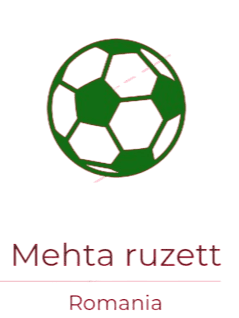 Mehta ruzett logo