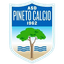 Asd Pineto Calcio logo