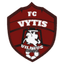 Vilniaus Vytis logo