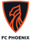 Johvi FC Phoenix U19 logo
