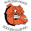 Burleigh Heads logo