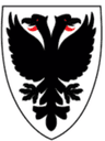 AFC Wimbledon Women logo