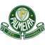 Palmeira FC RN Youth logo