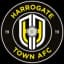 Harrogate Town (w) logo